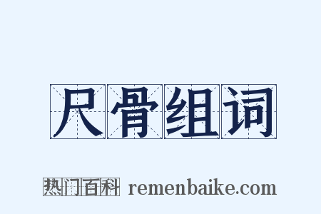 尺骨组词是什么意思的图片